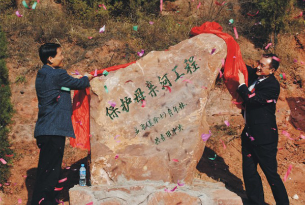 头号玩家官网-相信品牌力量