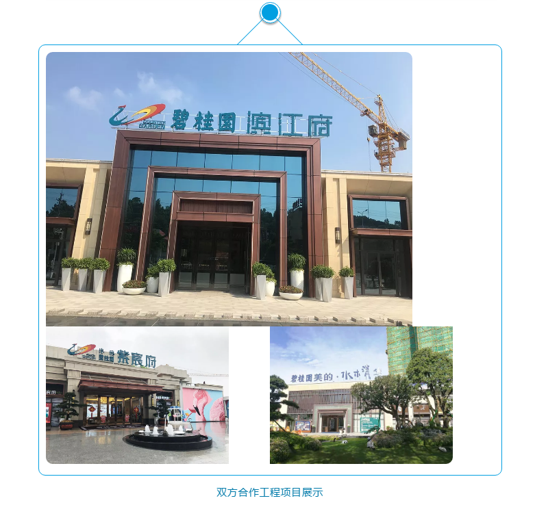 头号玩家官网-相信品牌力量