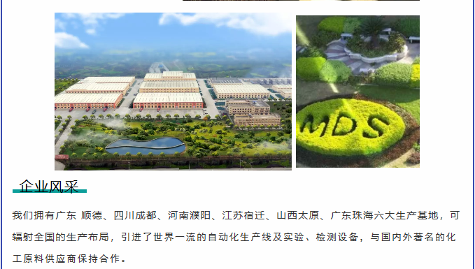 头号玩家官网-相信品牌力量